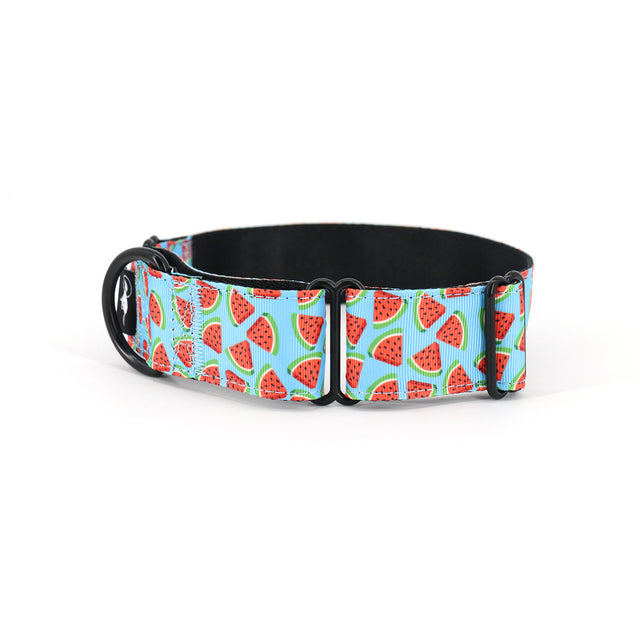 Watermelon Splash Martingale Dog Collar