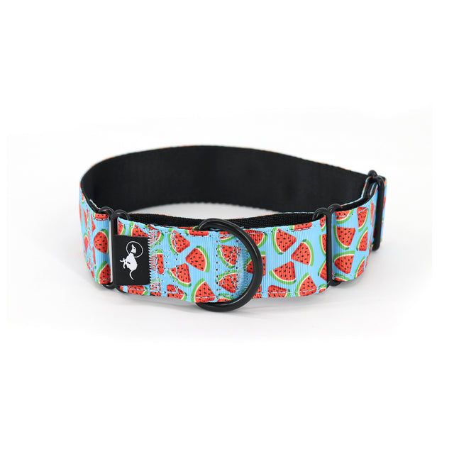 Watermelon Splash Martingale Dog Collar