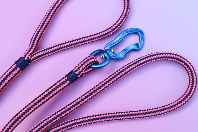 Zippy Pink Rope Leash - Blue