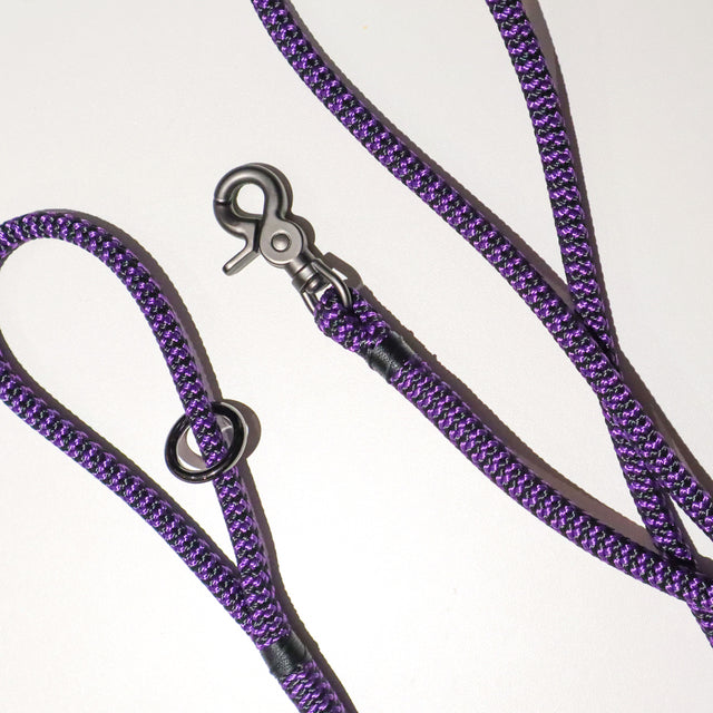 Trigger Clip Rope Leash - Zippy Purple