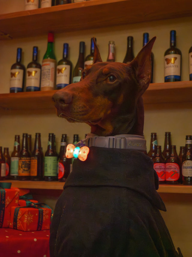 Laroo | Bow Tie Blinker LED Safety Light