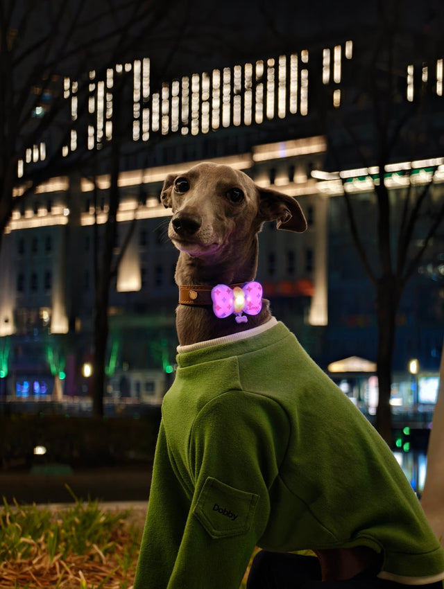 Laroo | Bow Tie Blinker LED Safety Light