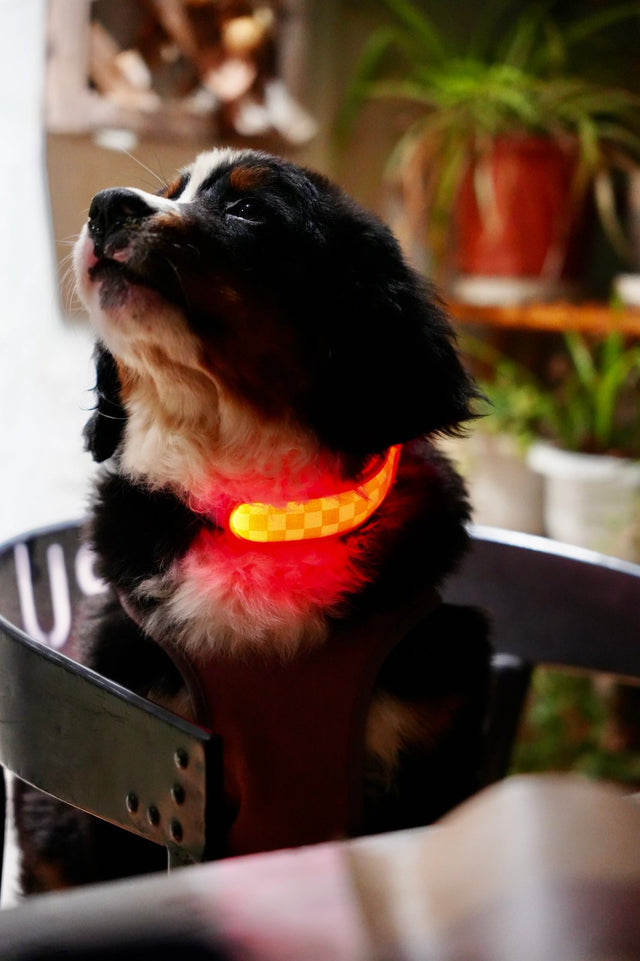 Laroo | Strap Blinker LED Safety Light