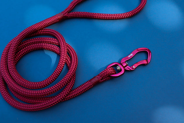 Glossy Maroon Rope Dog Leash