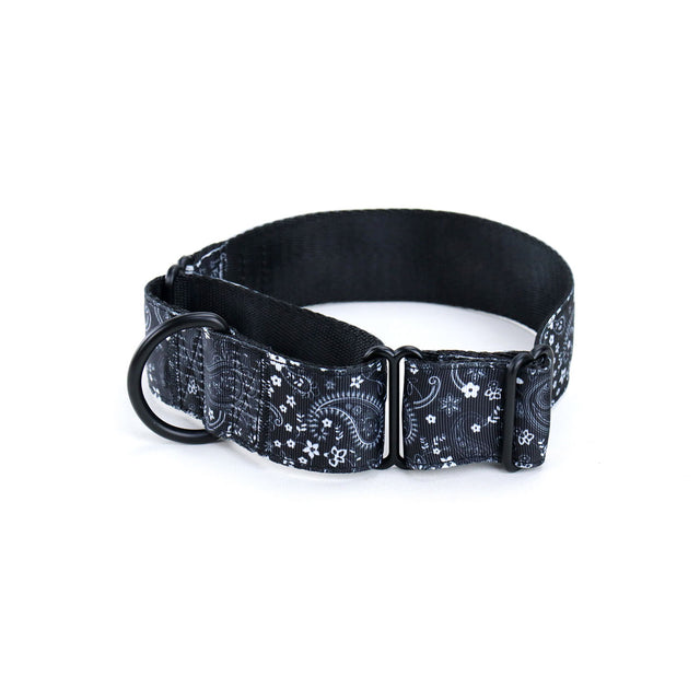 Black Paisley Martingale Dog Collar