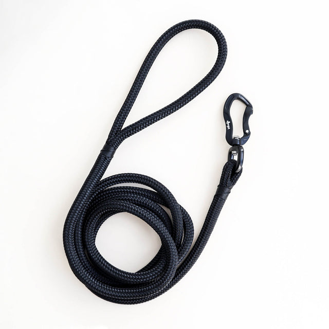 Stealth Rope Dog Leash