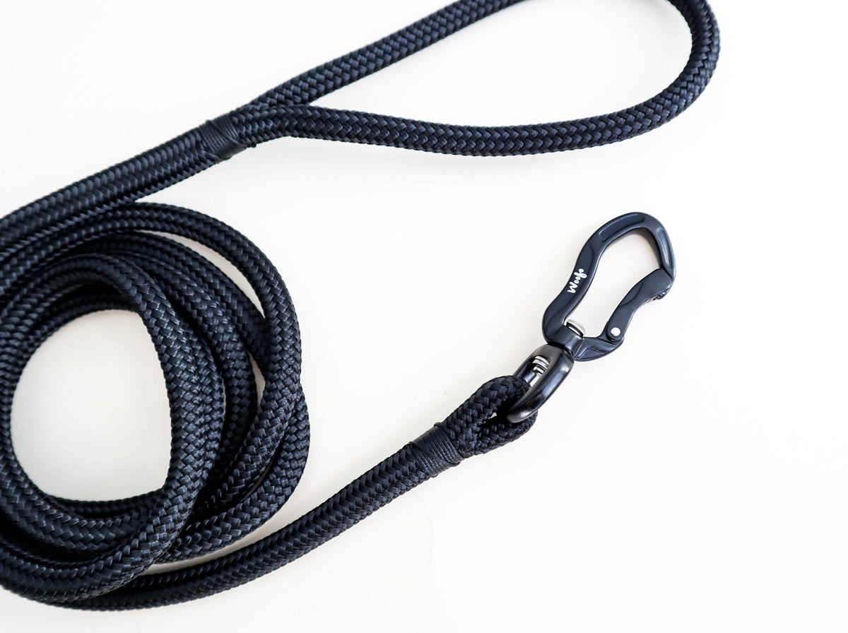 Black rope dog leash cheap