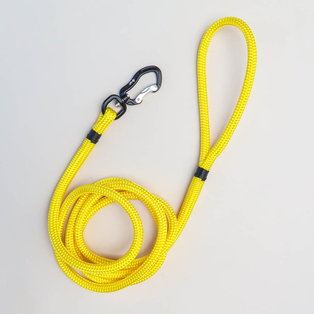 Black & Yellow Rope Dog Leash