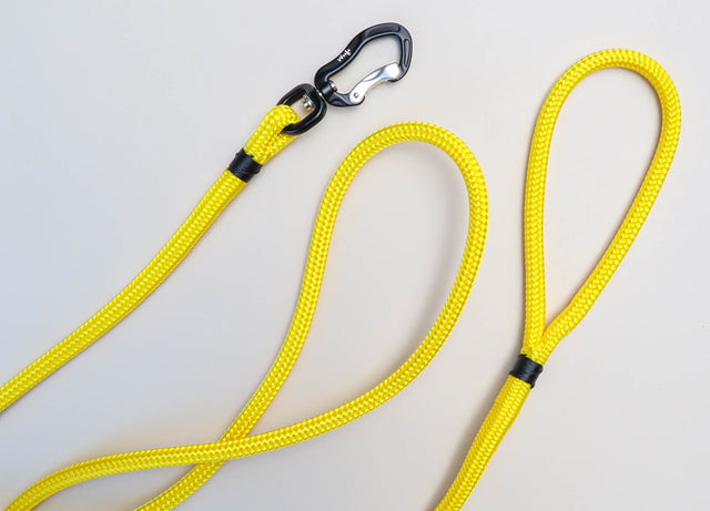 Black & Yellow Rope Dog Leash