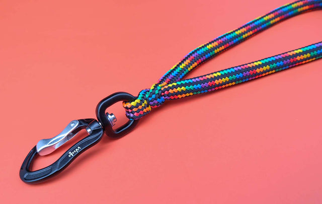 Traffic Handle Dog Leash - Black Rainbow