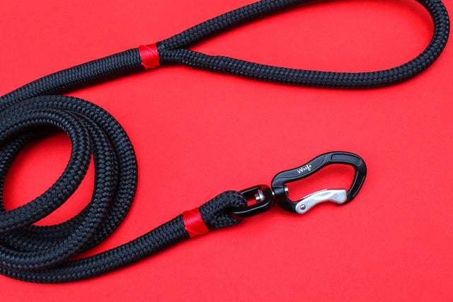 Black Rope Leash Red Accent