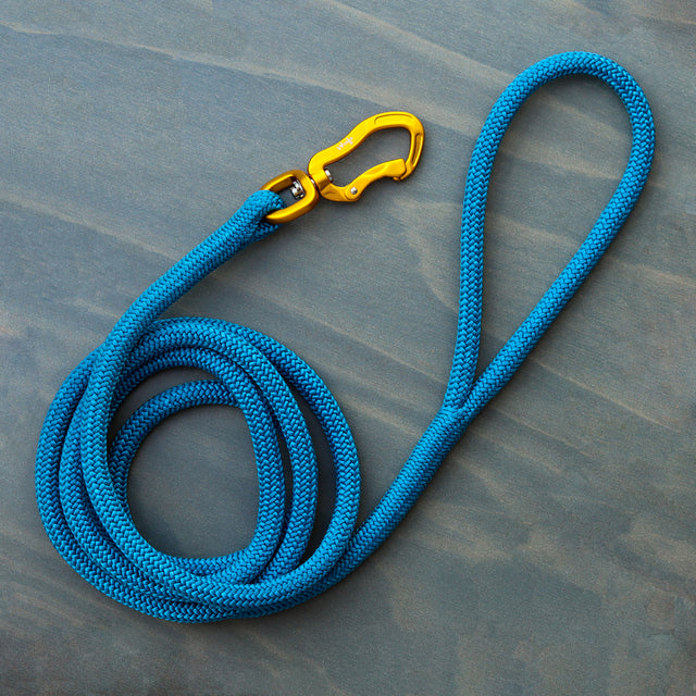Blue Premium Rope Leash