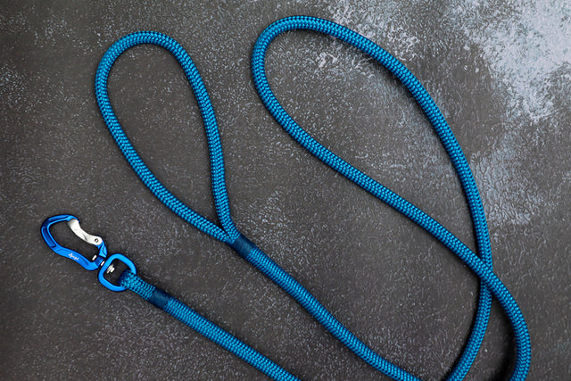 Blue Rope Leash