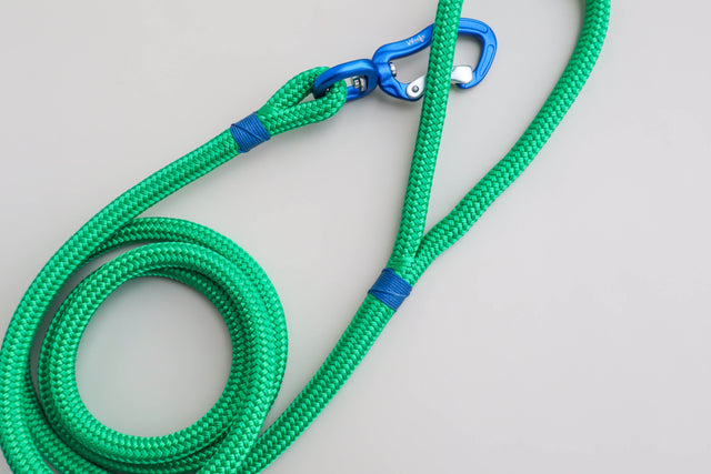 Blue & Green Rope Dog Leash