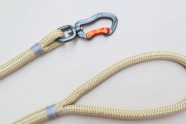 Champagne Rope Leash