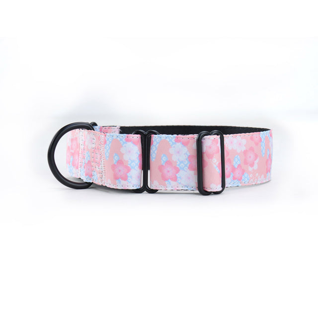 Cherry Blossom Martingale Dog Collar