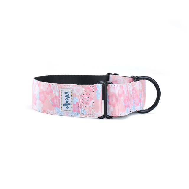 Cherry Blossom Martingale Dog Collar