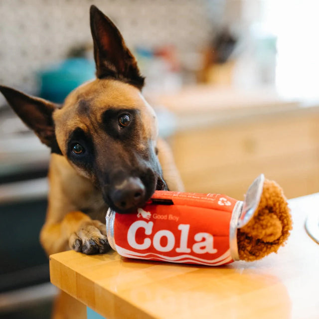 P.L.A.Y. Snack Attack | GOOD BOY COLA Dog Toy