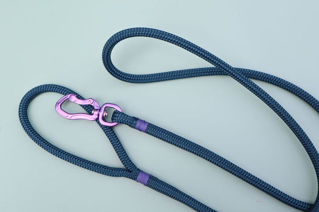 Purple & Dark Teal Rope Leash