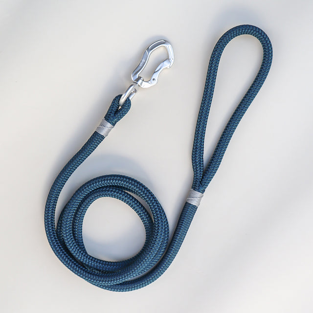 Silver & Dark Teal Rope Leash