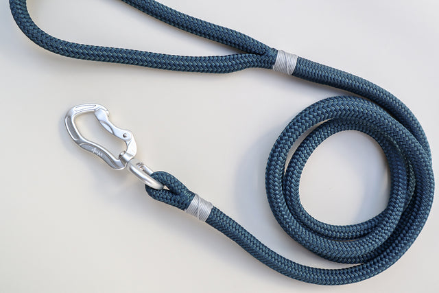 Silver & Dark Teal Rope Leash