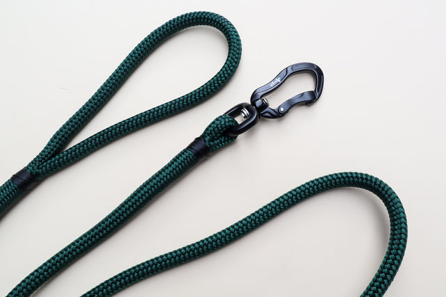 Black & Forest Green Rope Leash