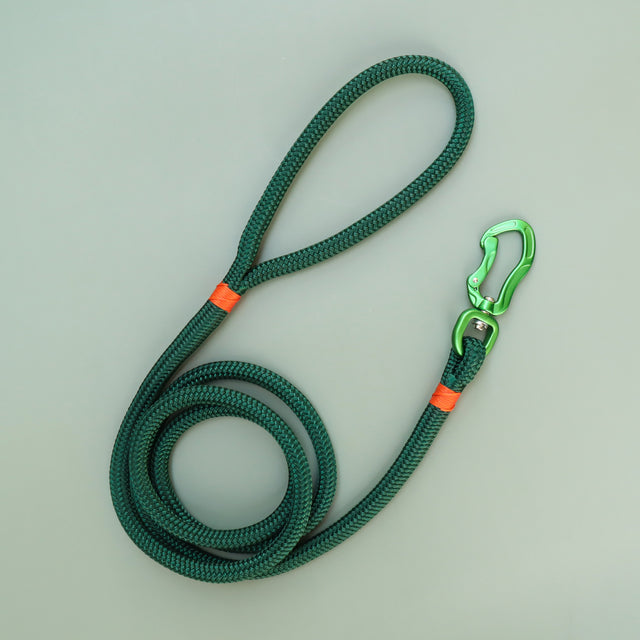 Forest Green Rope Leash - Orange Accent