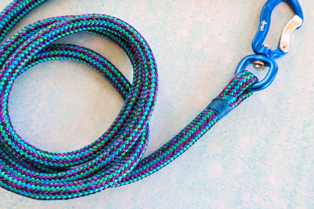 Galactic Rope Leash - Blue