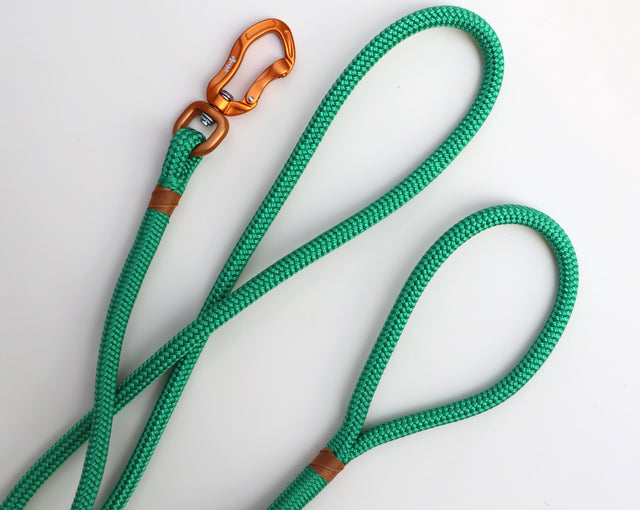 Gold & Green Rope Dog Leash