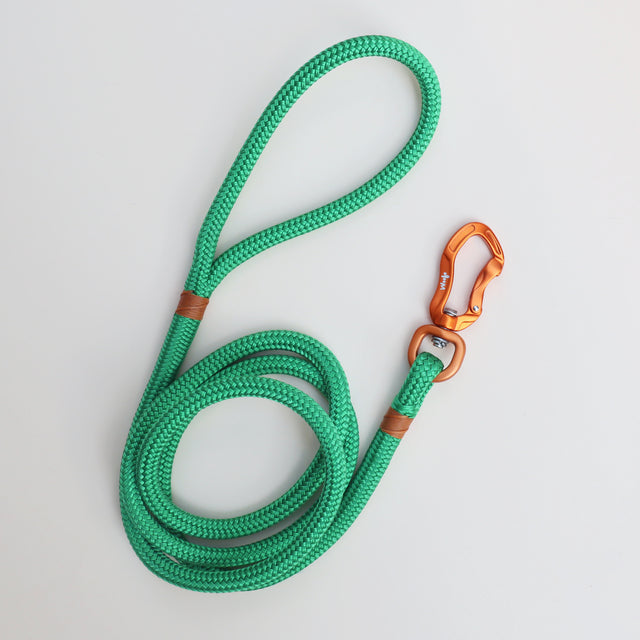 Gold & Green Rope Dog Leash