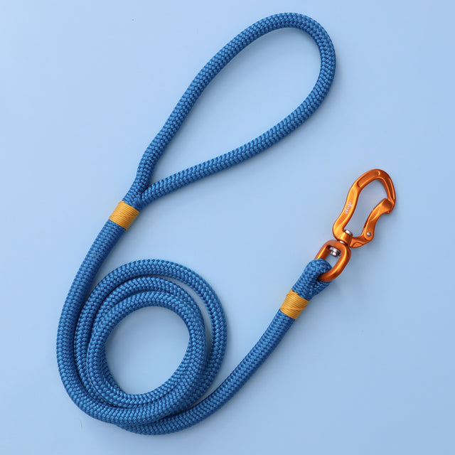 Gold & Blue Rope Dog Leash