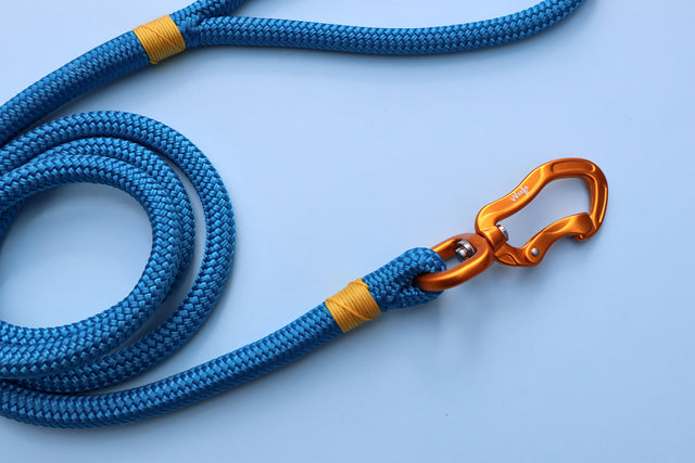 Gold & Blue Rope Dog Leash