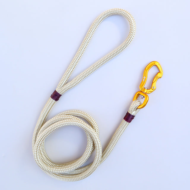 Gold & Champagne Rope Leash