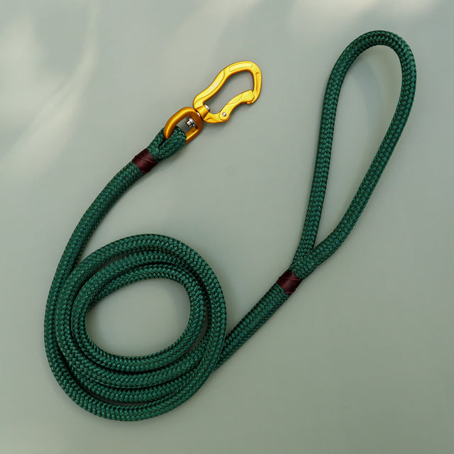 Gold & Forest Green Rope Leash