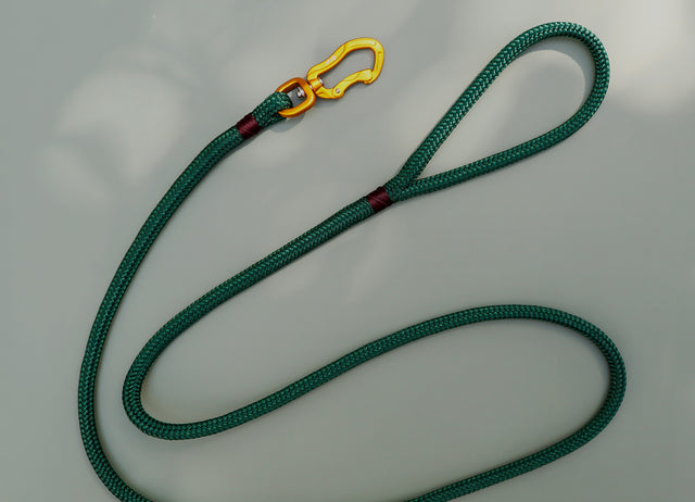 Gold & Forest Green Rope Leash