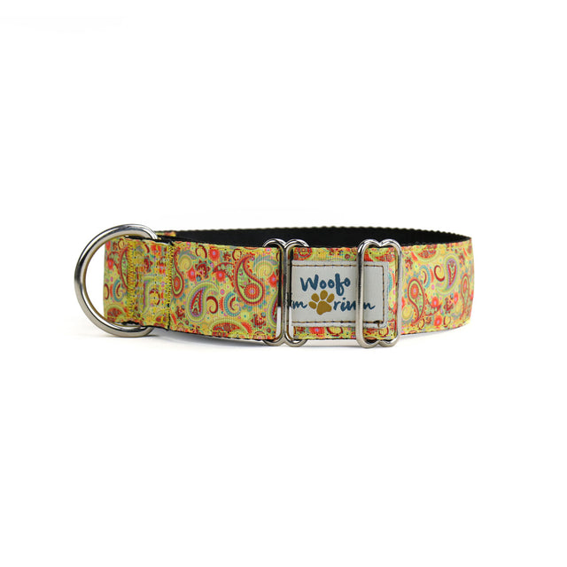 Golden Paisley Martingale Dog Collar