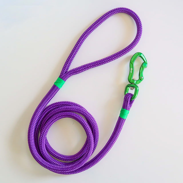 Green & Purple Rope Dog leash