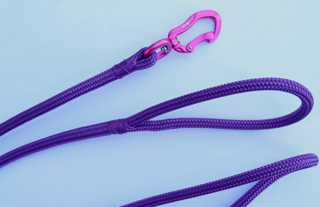 Hot Pink & Purple Rope Leash
