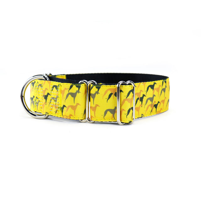 Legion Martingale Dog Collar