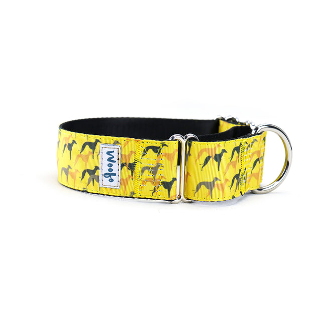 Legion Martingale Dog Collar