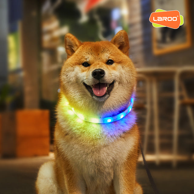 Laroo | Aurora Light Up Dog Collar Ring