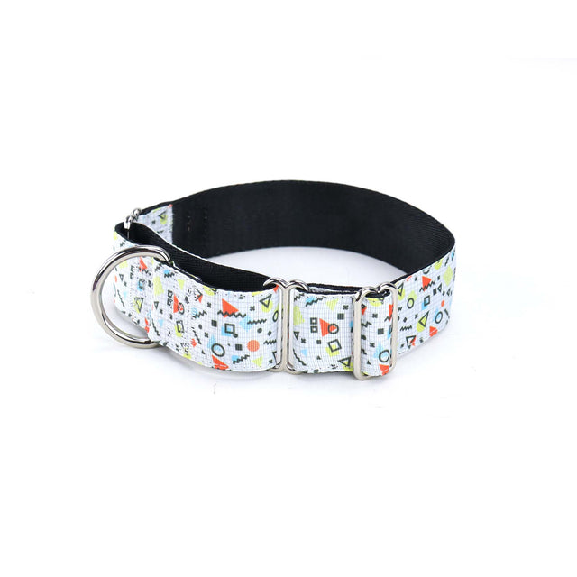 Math Class  Martingale Dog Collar