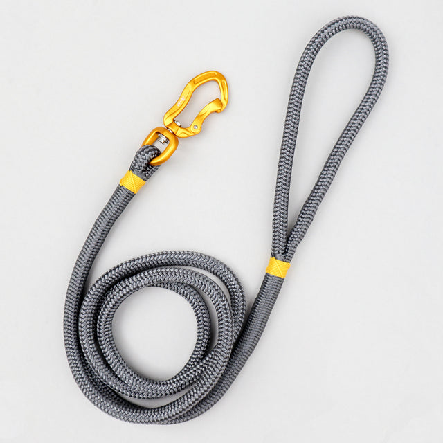 Metallic Rope Leash