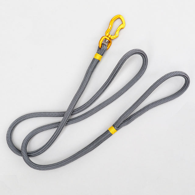 Metallic Rope Leash