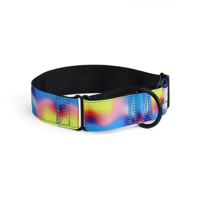 Motion Martingale Dog Collar