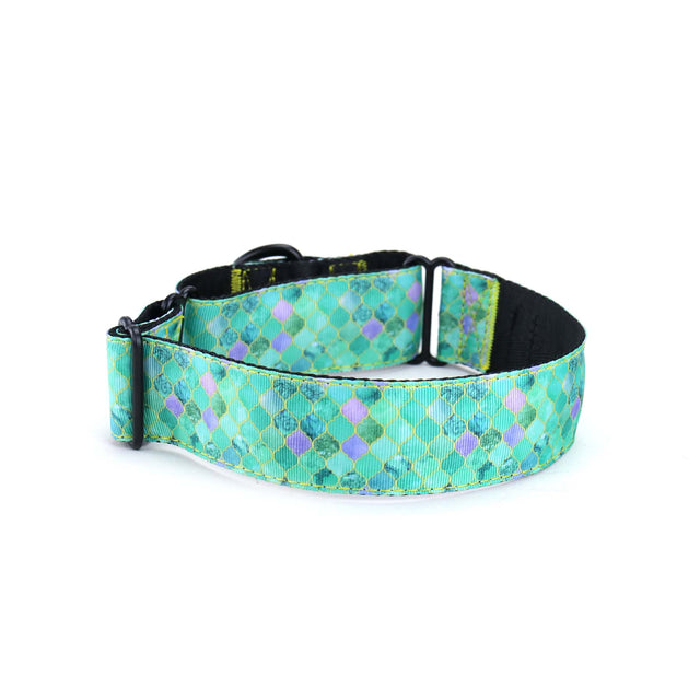 Moroccan Mint Martingale Dog Collar