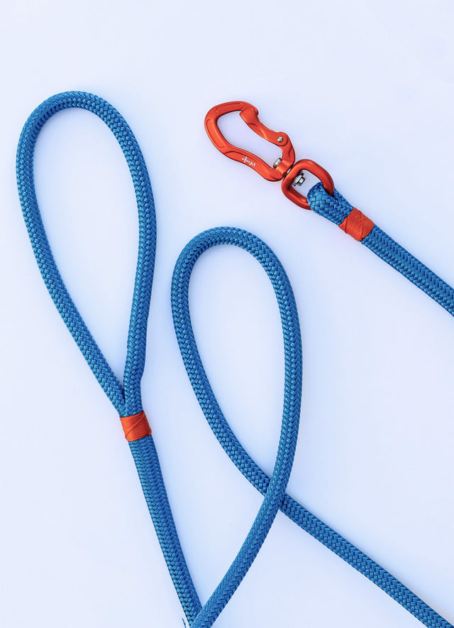Orange & Blue Rope Dog Leash