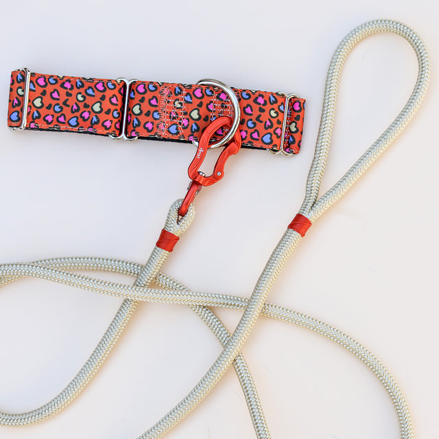 Orange & Champagne Rope Leash
