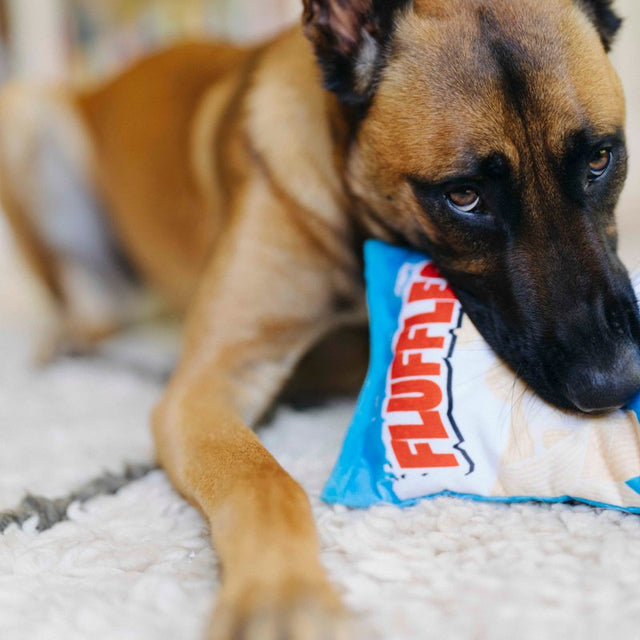 P.L.A.Y. Snack Attack | FLUFFLES CHIPS Dog Toy