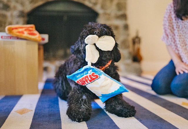 P.L.A.Y. Snack Attack | FLUFFLES CHIPS Dog Toy